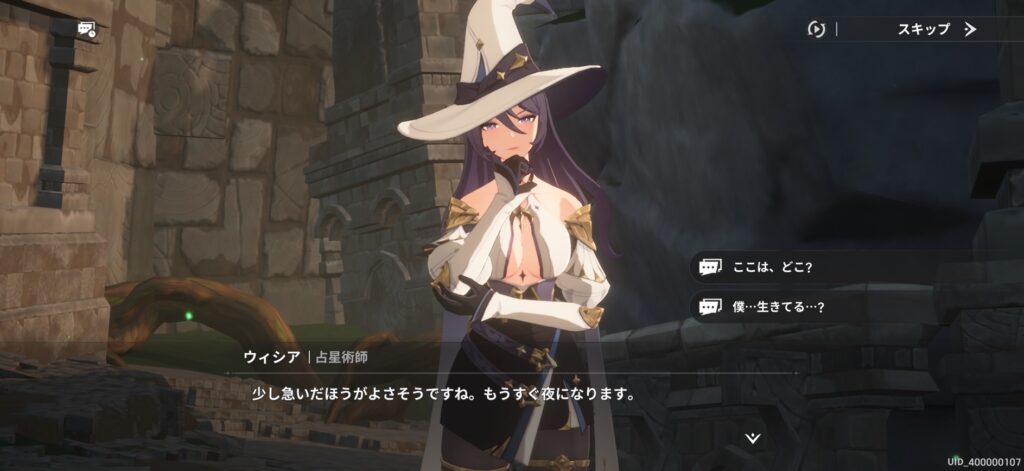 リメメントホワイトシャドウの画像
